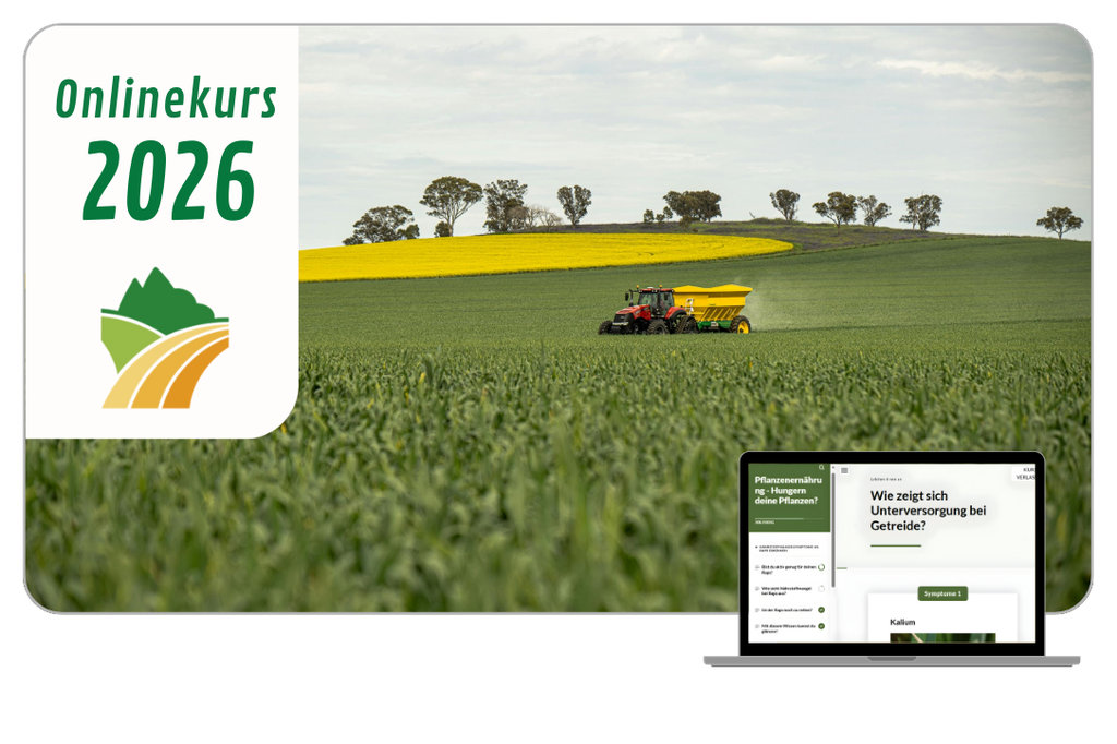 Pflanzenernährung - Hungern deine Pflanzen?