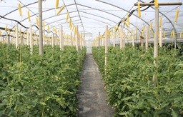 Fortbildung Sachkunde Pflanzenschutz - Gartenbau